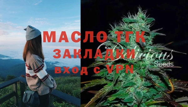 ПСИЛОЦИБИНОВЫЕ ГРИБЫ Баксан