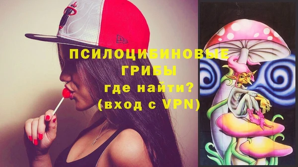 ПСИЛОЦИБИНОВЫЕ ГРИБЫ Баксан